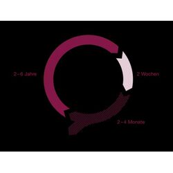 Ортомол для волос Orthomol Hair Intense, 60 капсул, Германия