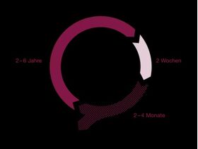 Ортомол для волос Orthomol Hair Intense, 60 капсул, Германия